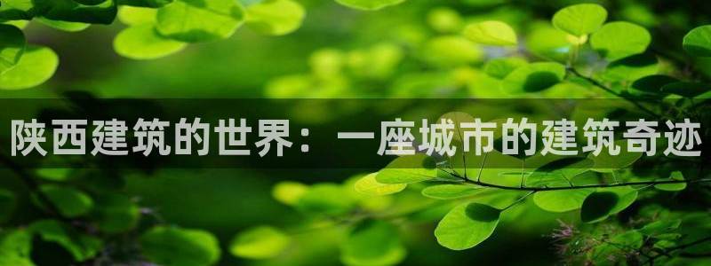 和记h88官网