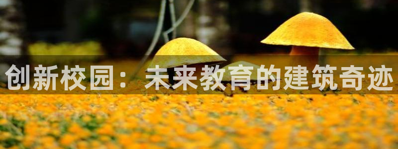 和记电讯官网澳门：创新校园：未来教育的建筑奇迹