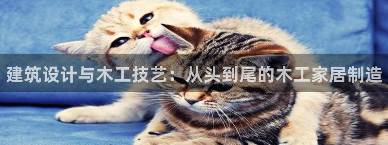 和行记义工网官网