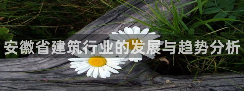 和记娱乐首页官网