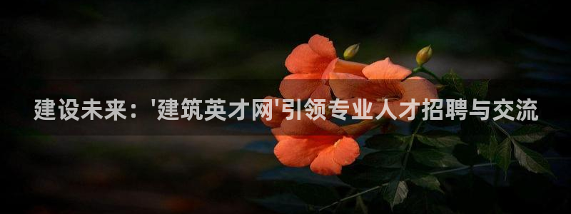 和记官网 公司