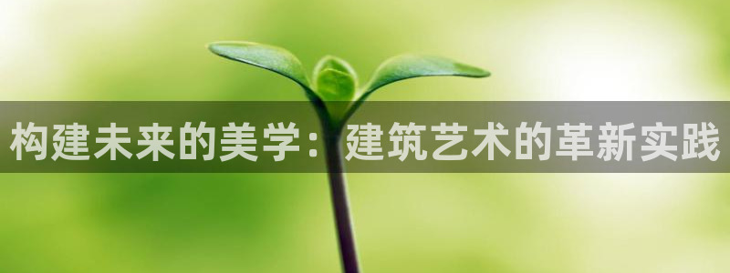 和记娱安全h88285官网