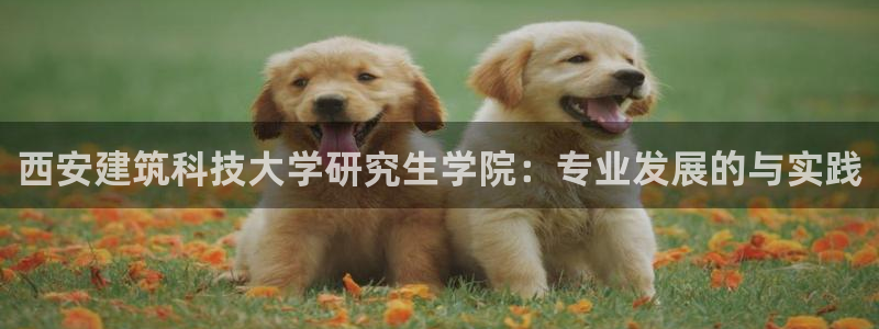 和记怡情视频官网：西安建筑科技大学研究生学院：专业发展的与实践