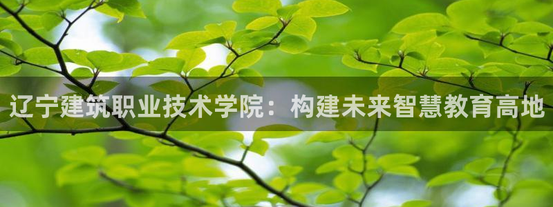 和记娱可信赖h88285官网