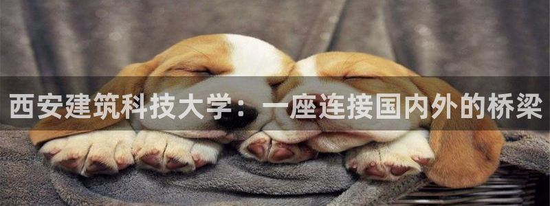 缅甸和记国际官网