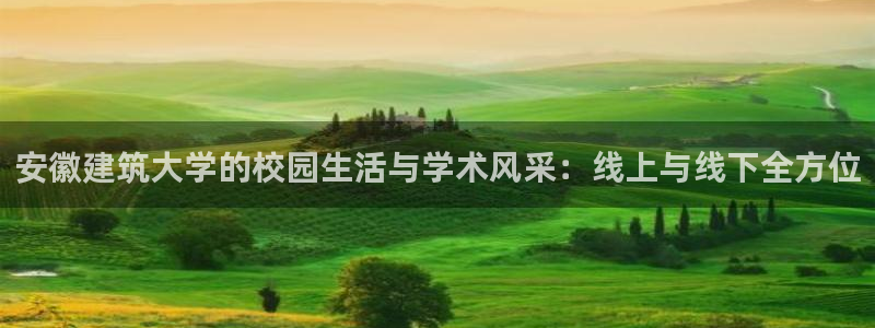 和记备用网官网开户