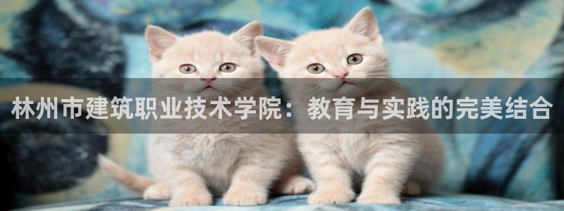 和记娱乐平台官网