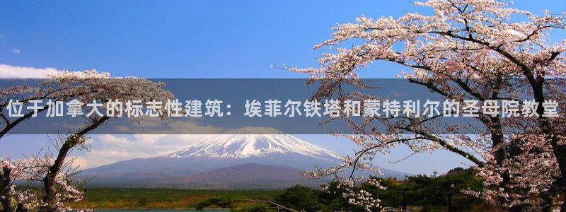 和记官网手机版