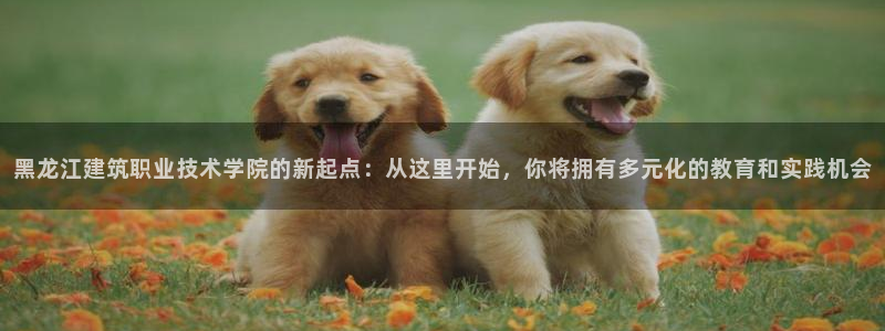 和记娱哪个位置h88285官网