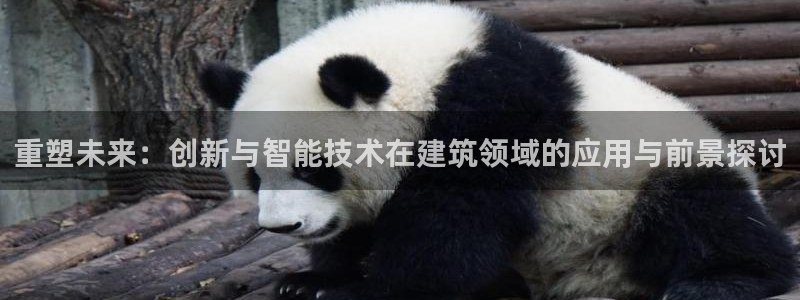 和记大合城dk2官网